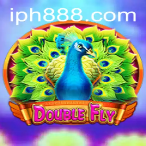 Exploring DoubleFly: A New Gaming Sensation